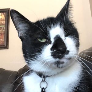 Meet your Posher, Sean